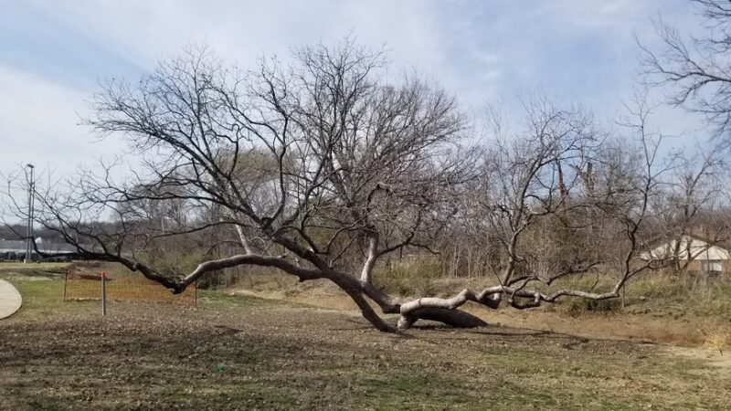Ed K Collett Park - Fort Worth, TX