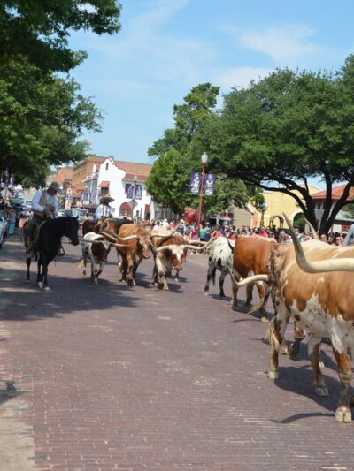 Hulen Meadows Park - Fort Worth, TX