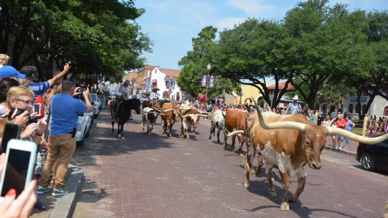 Hulen Meadows Park - Fort Worth, TX