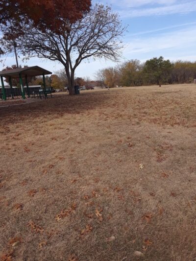 Lincolnshire Park - Fort Worth, TX