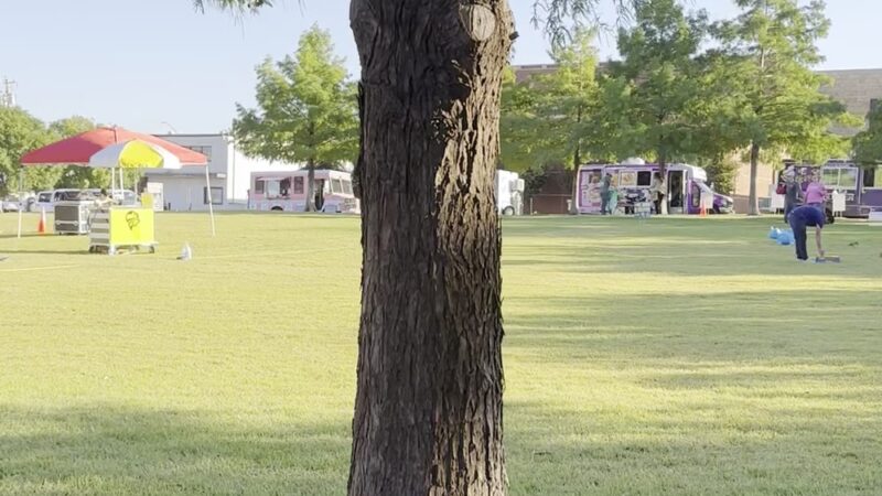 Magnolia Green - Fort Worth, TX