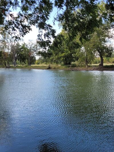Mallard Cove Park - Fort Worth, TX