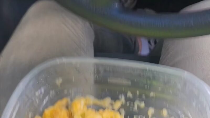 Ryan Place Park - Fort Worth, TX