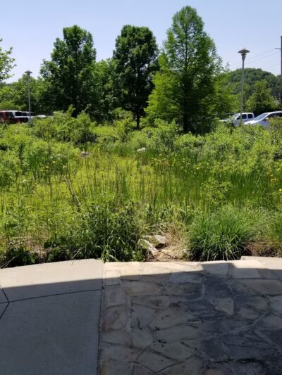 Public Service Park at Banklick Creek - Fort Wright, KY