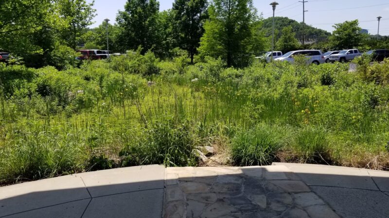 Public Service Park at Banklick Creek - Fort Wright, KY