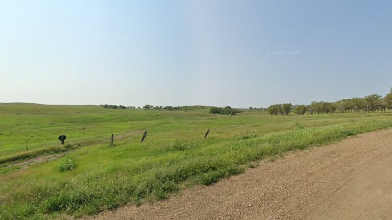 Curt's Dog Town - Fort Yates, ND