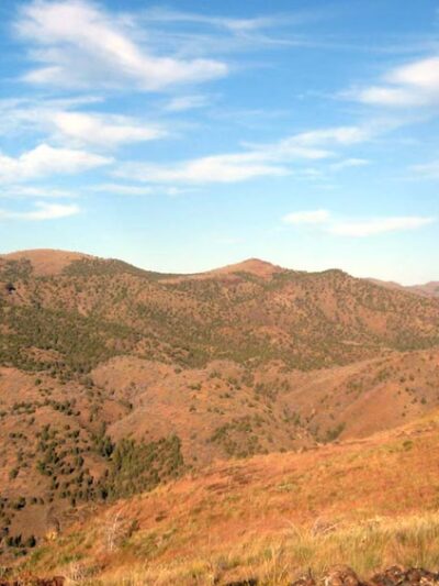 Spring Basin Wilderness - Fossil, OR