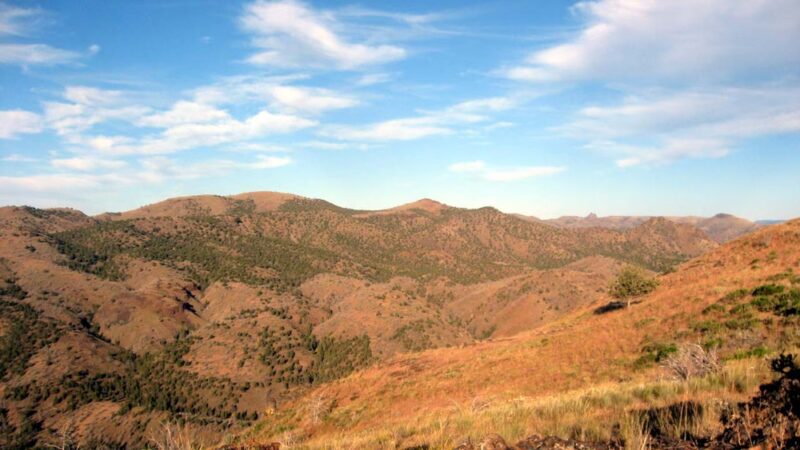 Spring Basin Wilderness - Fossil, OR