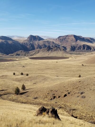 Spring Basin Wilderness - Fossil, OR