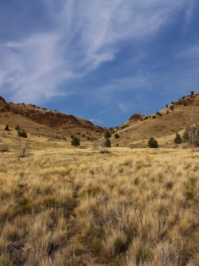 Spring Basin Wilderness - Fossil, OR