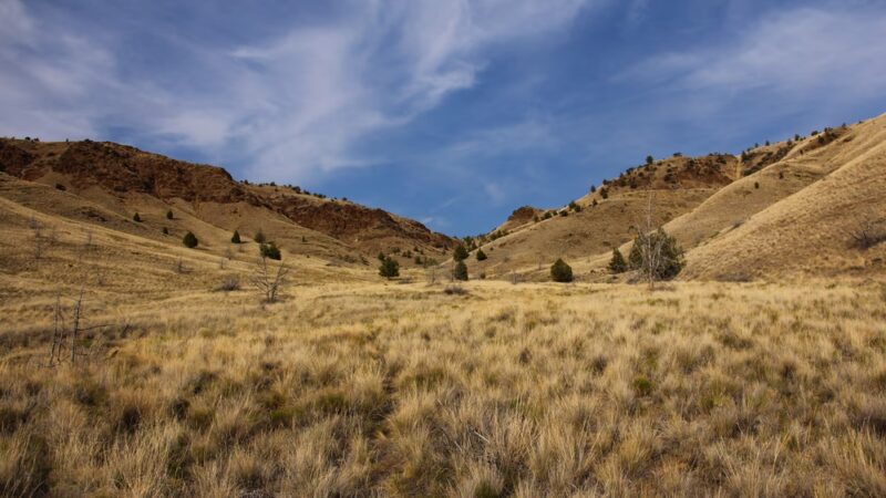 Spring Basin Wilderness - Fossil, OR