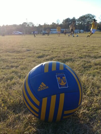 Braughton Park - Fosters, AL