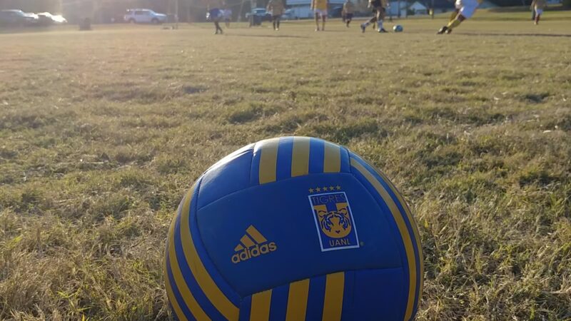 Braughton Park - Fosters, AL