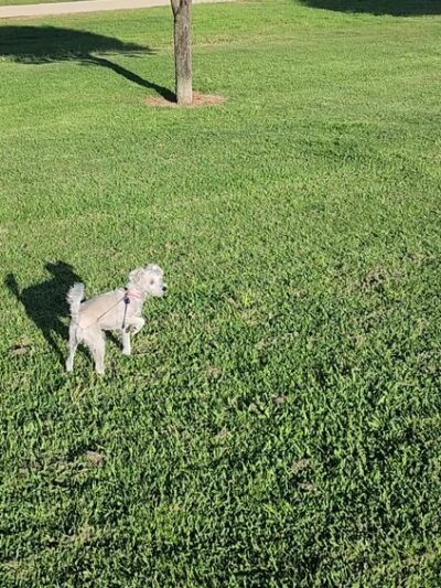 Fulton Park - Fountain Valley, CA