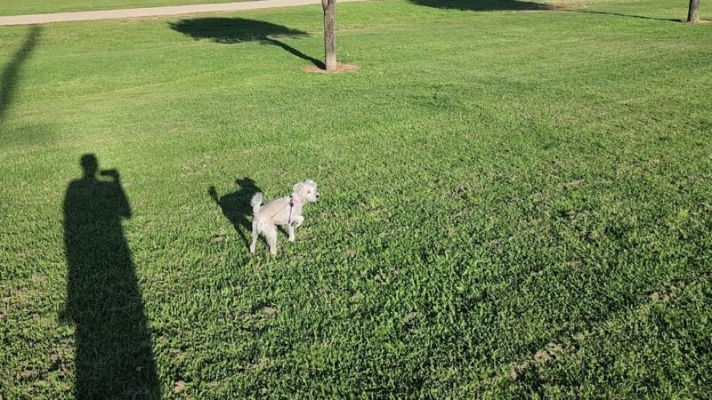 Fulton Park - Fountain Valley, CA