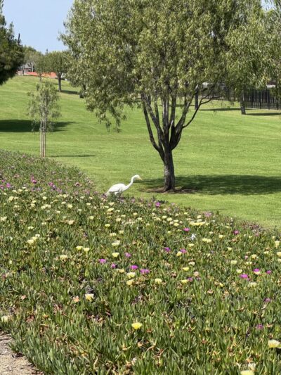 Fulton Park - Fountain Valley, CA