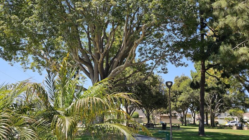 Harper Park - Fountain Valley, CA