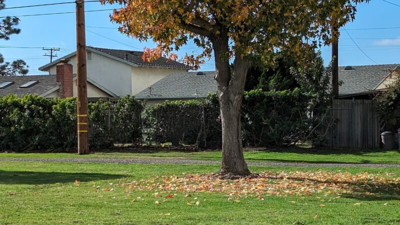 Westmont Park - Fountain Valley, CA