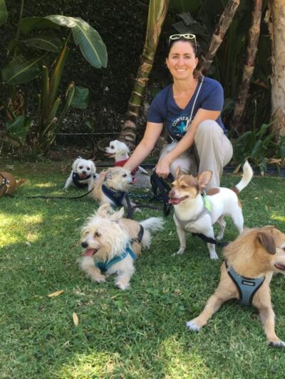 Four Happy Paws LA - ,