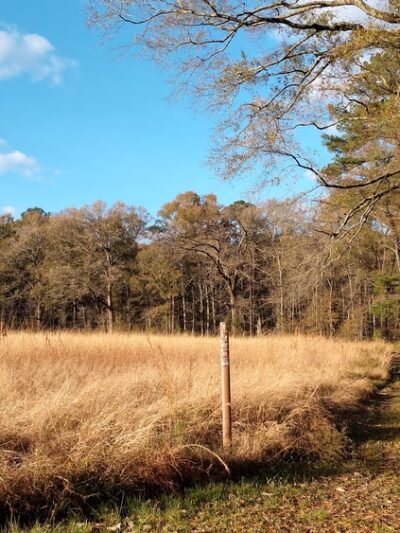 Howell Woods Environmental Learning Center - Four Oaks, NC