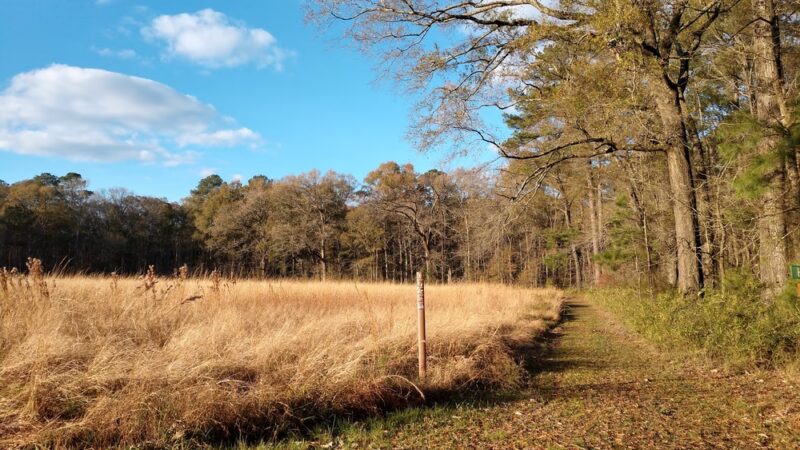 Howell Woods Environmental Learning Center - Four Oaks, NC