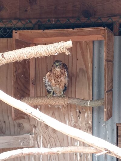Howell Woods Environmental Learning Center - Four Oaks, NC