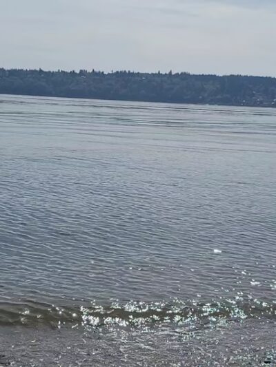 Fox Island Boat Ramp - Fox Island, WA