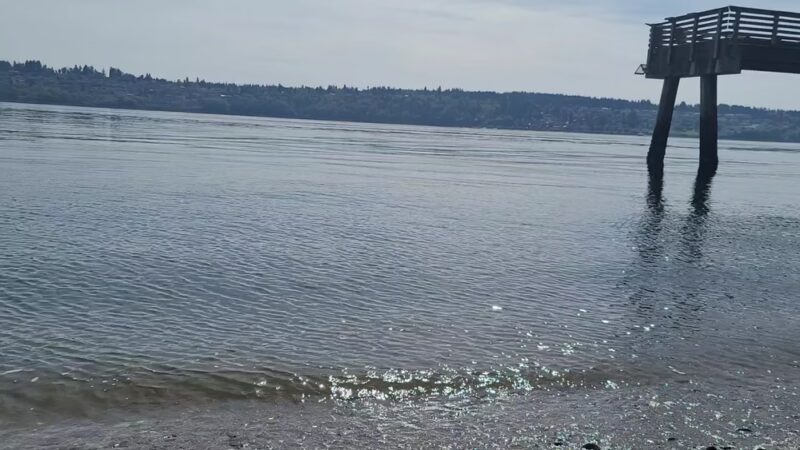 Fox Island Boat Ramp - Fox Island, WA
