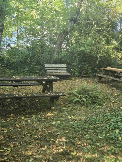 Fox Island Nature Center - Fox Island, WA
