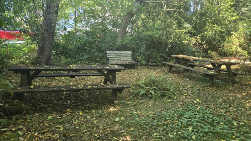 Fox Island Nature Center - Fox Island, WA