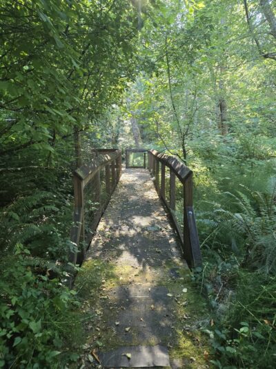 Fox Island Nature Center - Fox Island, WA