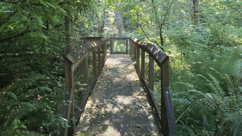 Fox Island Nature Center - Fox Island, WA