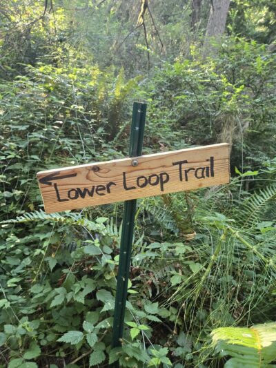 Fox Island Nature Center - Fox Island, WA