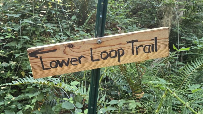 Fox Island Nature Center - Fox Island, WA