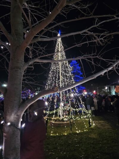 Millenium Park - Fox Lake, IL