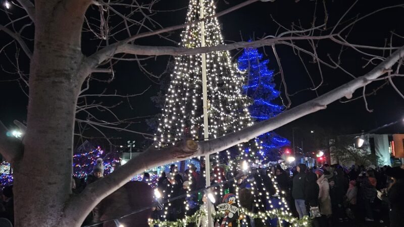 Millenium Park - Fox Lake, IL