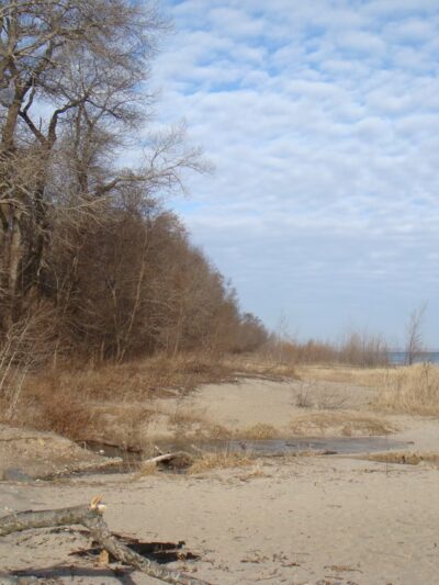 Doctor's Park - Fox Point, WI