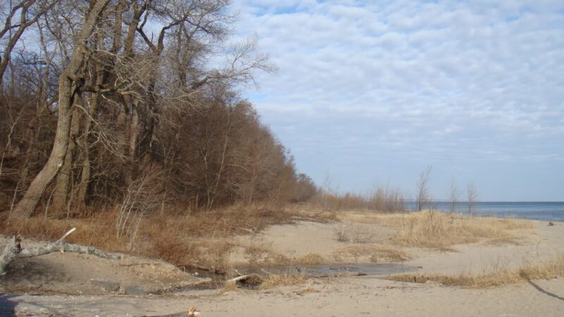 Doctor's Park - Fox Point, WI