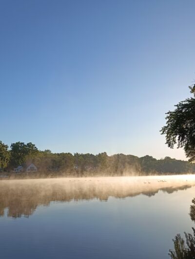 Picnic Grove Park - Fox River Grove, IL