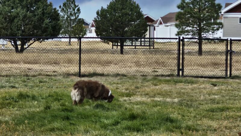 FE Warren AFB Dog Park - Francis E. Warren AFB, WY