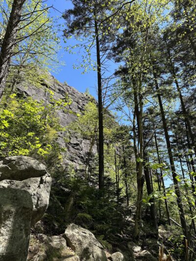 Artist's Bluff Loop Trailhead - Franconia, NH