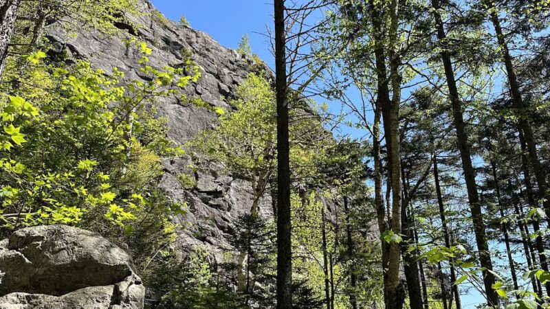 Artist's Bluff Loop Trailhead - Franconia, NH