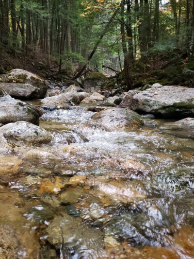 Coppermine Trail - Franconia, NH