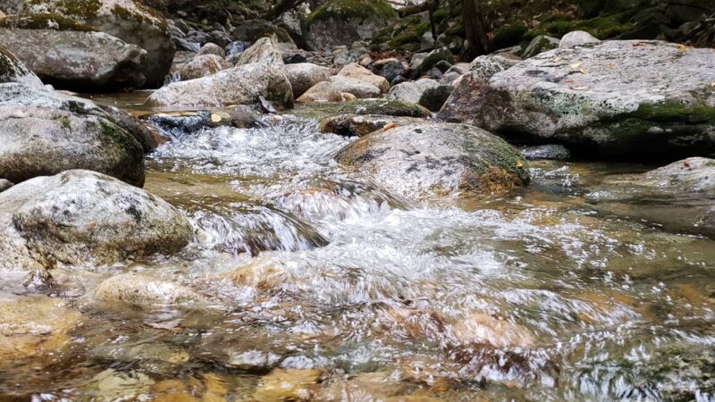 Coppermine Trail - Franconia, NH