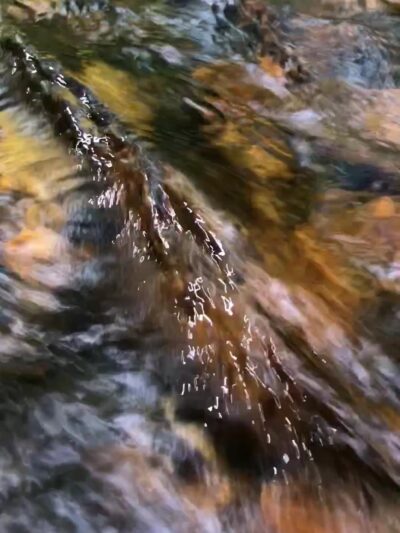 Fransted Family Campground & RV Park - Franconia, NH