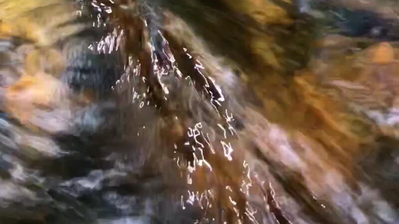 Fransted Family Campground & RV Park - Franconia, NH