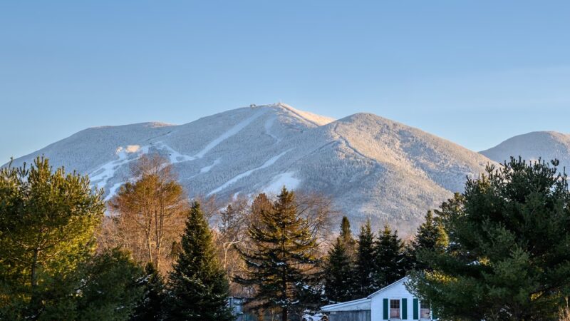 Gale River Motel - Franconia, NH