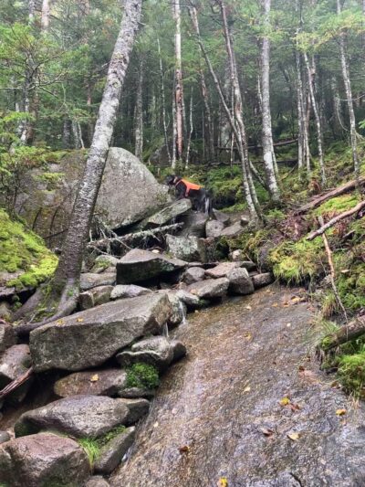 Kinsman Mountain North Peak - Franconia, NH