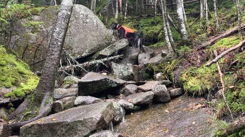 Kinsman Mountain North Peak - Franconia, NH