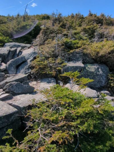 Kinsman Ridge Trailhead - Franconia, NH